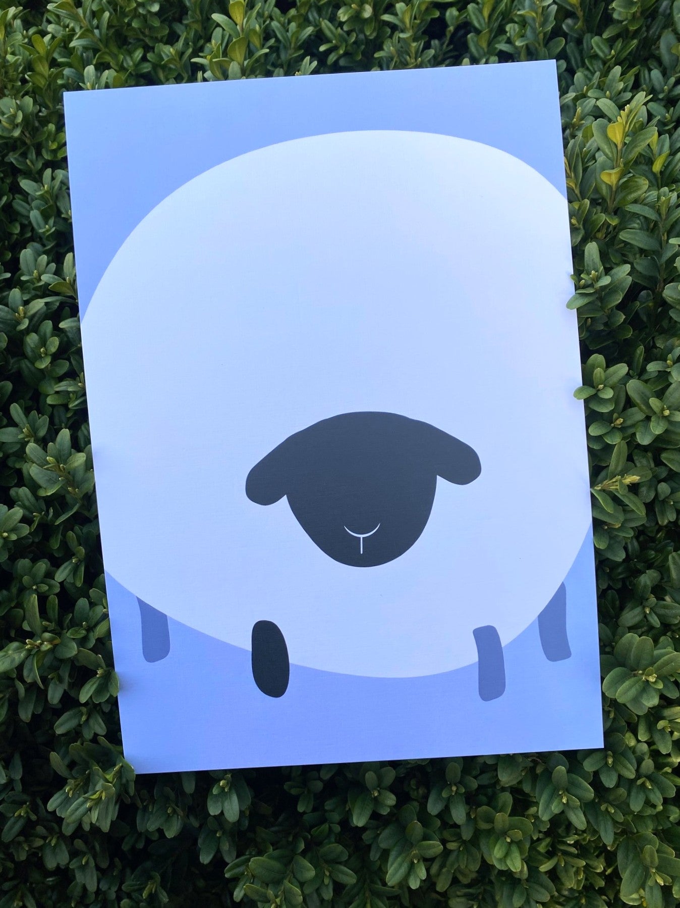 Happy Graphic Sheep Limited Art Print 'Misfit'
