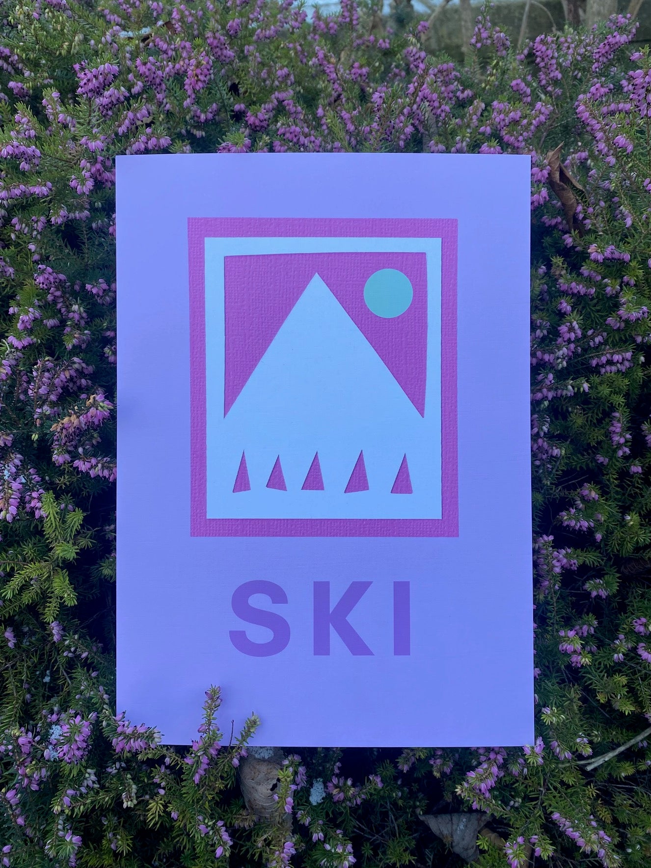 Pink Mountain Ski Limited Art Print for ski lovers