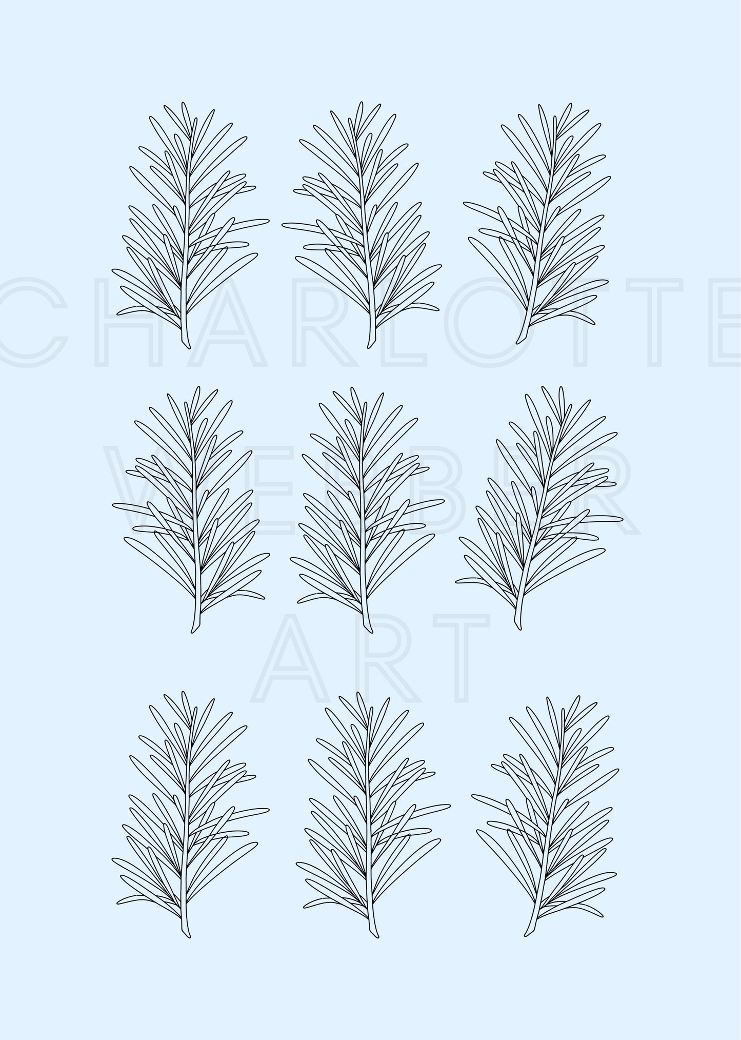 Digital Print of Fir Sprigs A4 Art Print 'Sprigs'