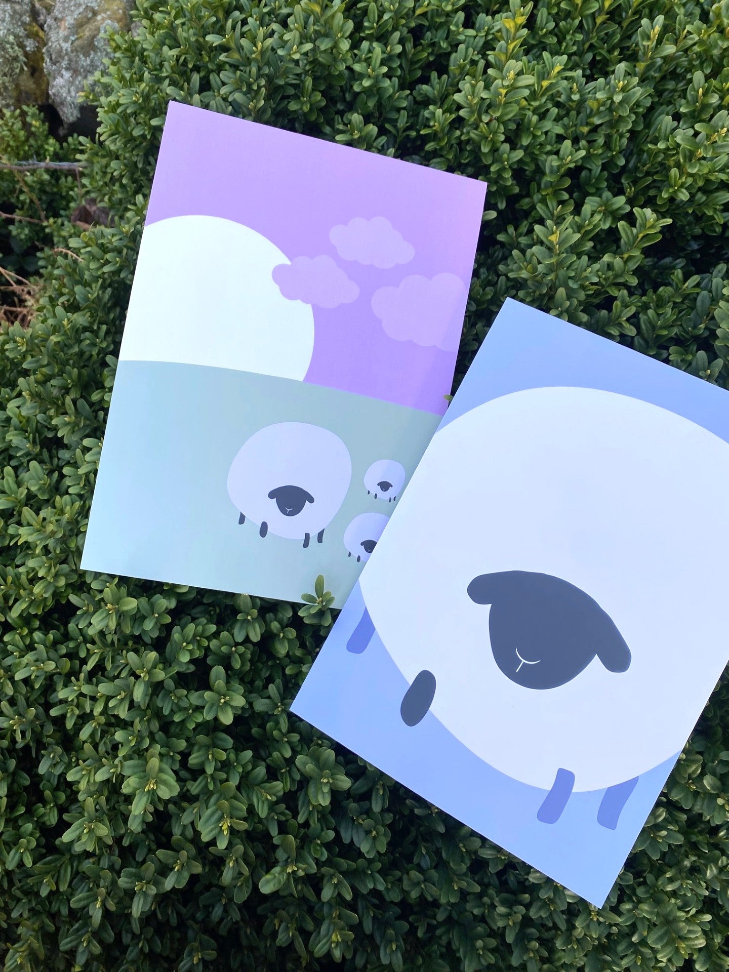 Happy Graphic Sheep Limited Art Print 'Misfit'