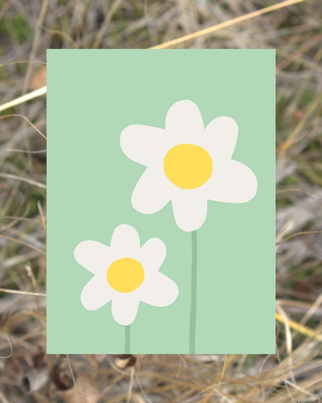 Digital Daisy Print with Two Daisies A4 Art Print 'Daisy II'