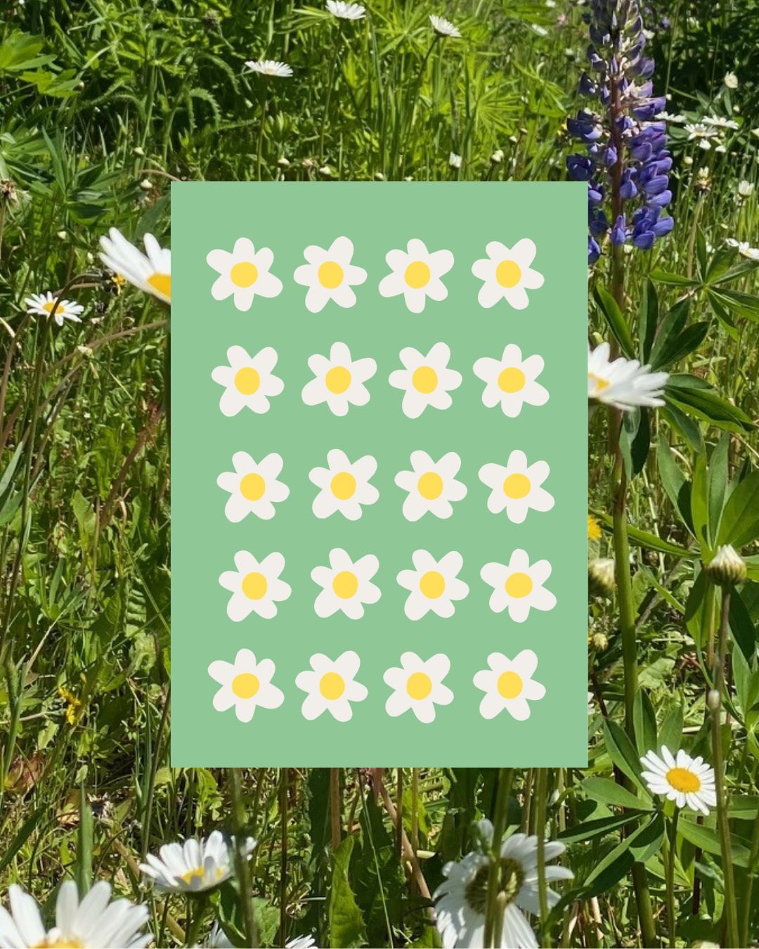Digital Print of Daisies in the Grass A4 Art Print 'Daisy III'