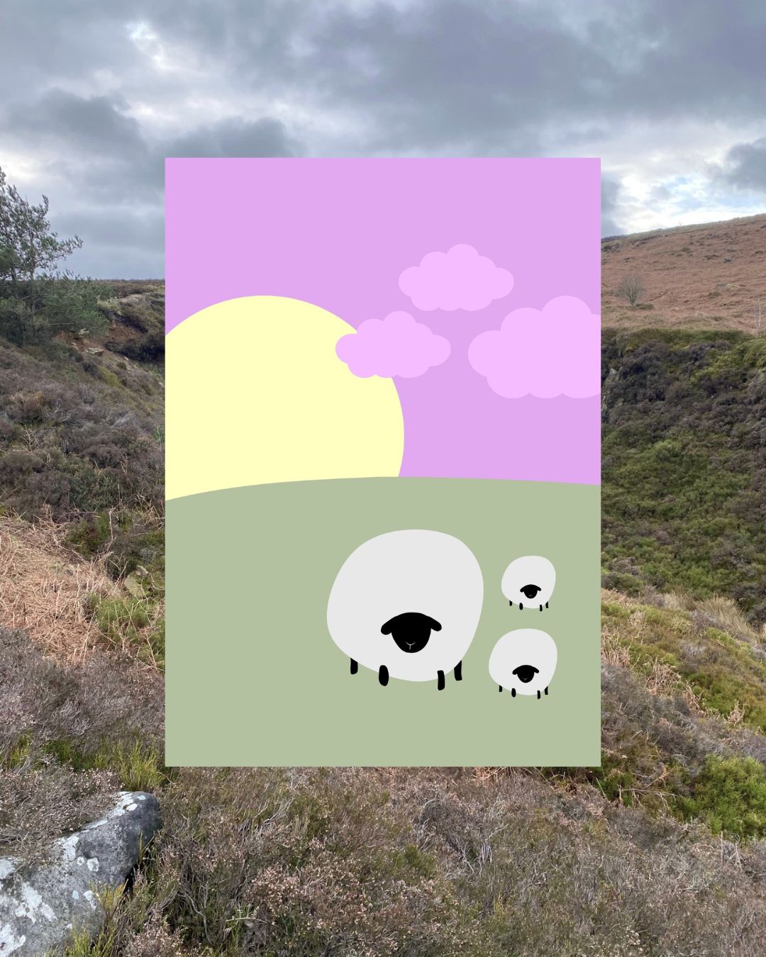 Digital Yorkshire Sheep Print A4 Art Print 'Love Ewe'