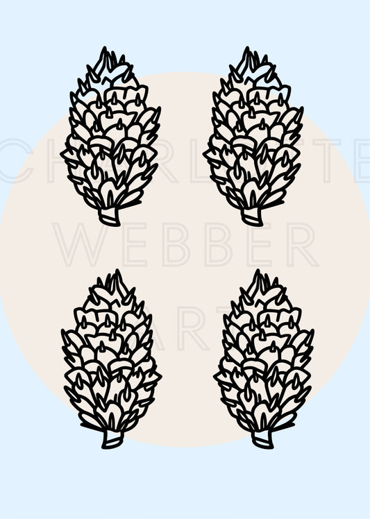 Digital Print of Four Pinecones A4 Art Print 'Treasures'