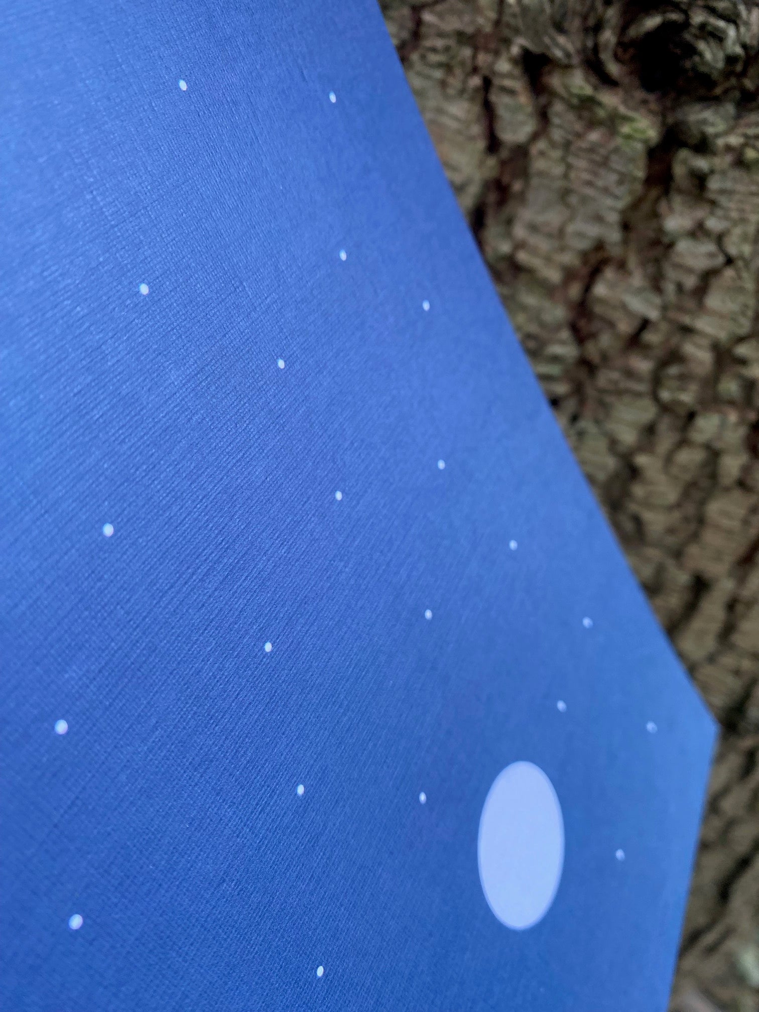 Moonlit night cabin art print close up